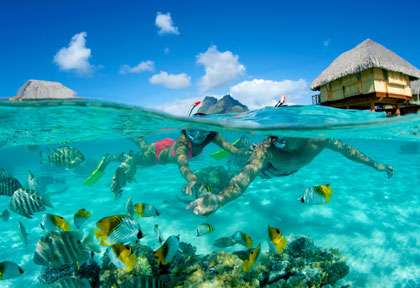 Snorkeling à Bora Bora