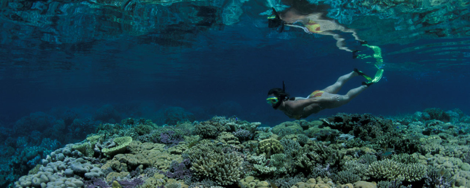 Snorkeling © Walindi Dive Center © Franco Banfi