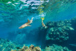 Fidji - Yasawa Wanderer - Rencontre avec les requins de récif