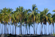 Hawaii - Hawai Big Island - Kohala Coast ©Shutterstock, Lisa Hoang
