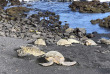 Hawaii - Hawai Big Island - Punaluu Black Sand Beach ©Pacifique à la Carte