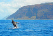 Hawaii - Kauai - Croisière snorkeling le long de la Na Pali Coast avec repas 