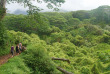 Hawaii - Kauai - Randonnée Awa'awapuhi dans la forêt de Koke'e © Hawaii Tourism Authority