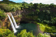 Hawaii - Kauai - Wailua Falls ©Hawaii Tourism, Tor Johnson