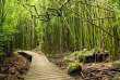 Hawaii - Maui - Route d'Hana, Haleaka National Park ©Shutterstock, Alex GK Lee