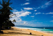 Hawaii - Oahu - Après-midi à North Shore © Hawaii Tourism Authority, Tor Johnson