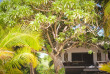 Iles Cook - Aitutaki - Tamanu Beach - Studio Garden Bungalow