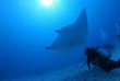 Micronésie – Palau – Carp Island – Palau Diving Center