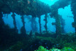 Tour du monde - Micronésie - Truk © Truk Lagoon Dive Center