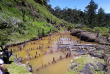 Papouasie-Nouvelle-Guine - Province d'Enga
