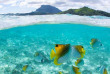 Polynésie française - Bora Bora - Combo Safari 4x4 et Plongée Libre