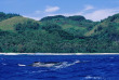 Polynésie - Croisière à bord de l'Aranui 5 - Programme Iles Australes - Rurutu © Tahiti Tourisme, Lionel Pozzoli