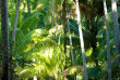 Polynésie - Tetiaroa - The Brando © Tim McKenna