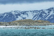 Croisières PONANT - Antarctique - Mer de Weddell et Iles Sandwich du Sud © Studio Ponant, Olivier Blaud