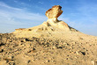 Qatar - Escapade sur la péninsule de Zekreet © Shutterstock, Alizada Studios