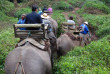 Thailande - Camps des éléphants du Nord de la Thaïlande