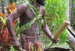 Vanuatu - Malekula - Big Nambas et Small Nambas