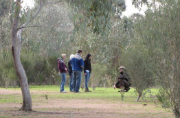 Australie - Melbourne - Excursion Koalas & Kangourous in the Wild