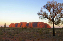 Australie - Circuit L'Australie authentique - Uluru © Tourism NT