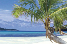 Fidji - Iles Yasawa - Coconut Beach Resort