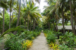 Fidji - Iles Yasawa - Barefoot Manta Island