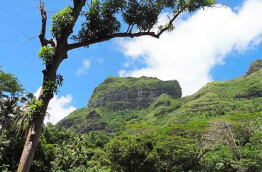 Polynésie française - Bora Bora - Balade Pédestre dans la Vallée des Rois