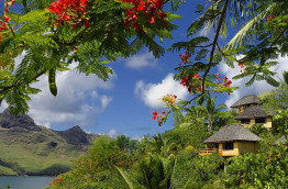 Polynésie française - Nuku Hiva - Le Nuku Hiva by Pearl Resorts - Bungalows