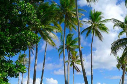 Polynésie française - Tahaa - Tahaa la Découverte Complète