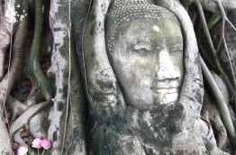 Thailande - Les temples d'Ayutthaya