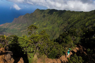 Hawaii - Kauai - Randonnée Awa'awapuhi dans la forêt de Koke'e © Hawaii Tourism Authority, Tor Johnson