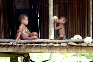 Papouasie-Nouvelle-Guinée - Madang  © Trans Niugini Tours