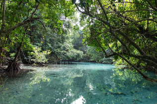 Vanuatu - Espiritu Santo - Best of Santo © Shutterstock, Fredy Thuerig