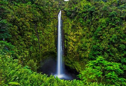 Hawaii - Hawai Big Island - Akaka Falls ©Shutterstock, Weicool