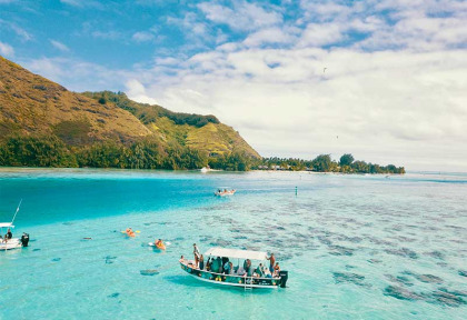 Polynésie française - Moorea - Découverte de la faune marine, lagon et océan