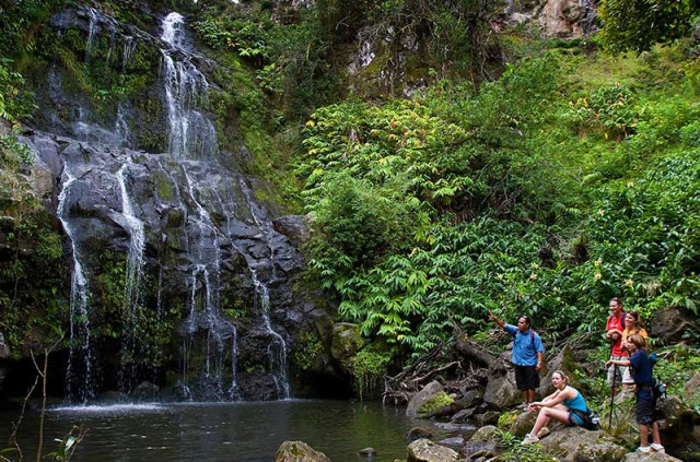 Hawaii - Big Island - Balade forêt et cascades de Kohala