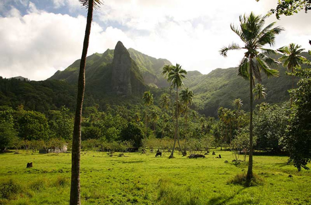 Polynésie française - Raiatea © Tahiti Tourisme