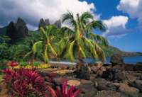 bons plans voyage hawaii
