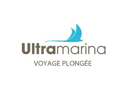 Ultramarina Voyage plongée