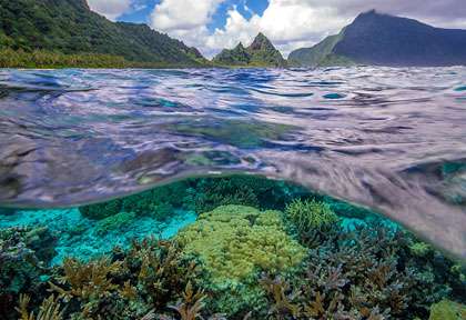 snorkeling à American Samoa