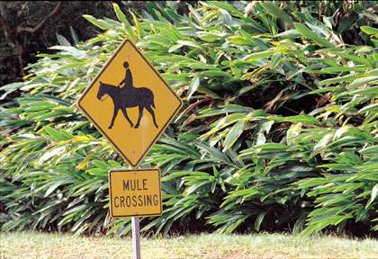 Panneau signalisation à Hawaii