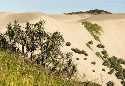 Dunes de Sigatoka à Fidji