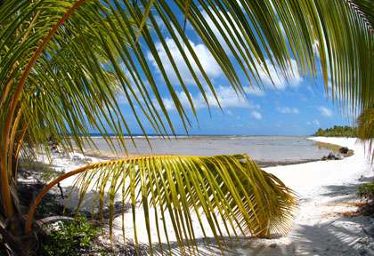 Plage de Tikehau