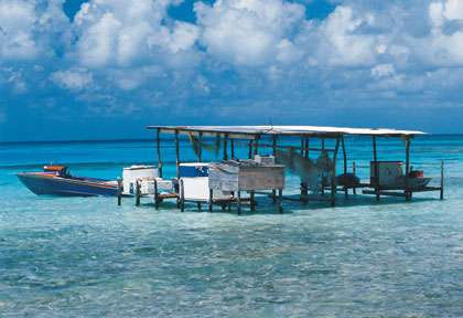 Paysage de Tikehau