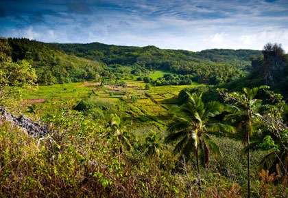 Paysage de Mangaia