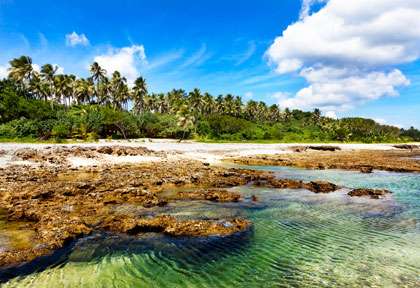 La côte de Tanna