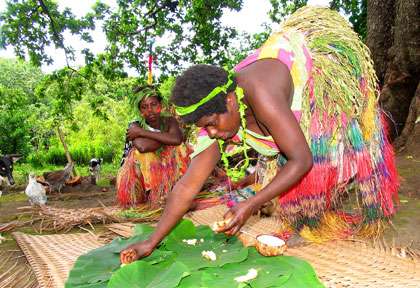Village coutumier à Tanna