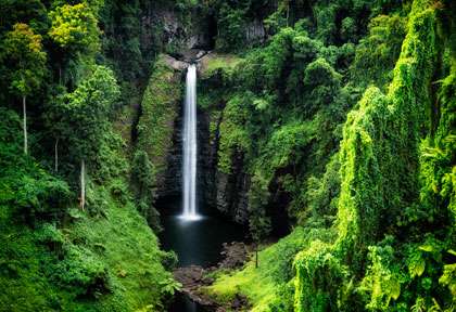 Cascades à Upolu aux Samoa