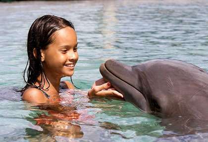 Rencontre avec les dauphins en Polynésie