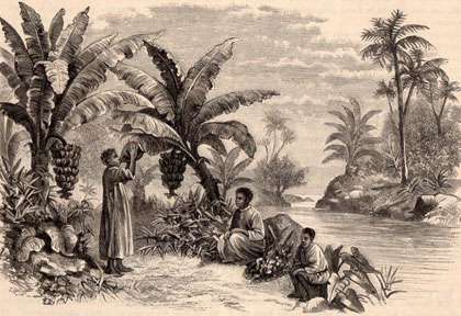 Histoire du Vanuatu