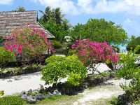Polynésie - Fakarava - Tokerau Village